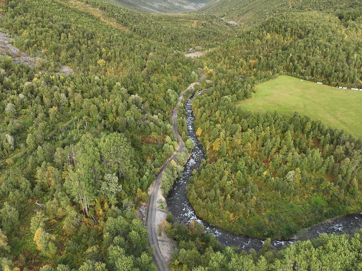 Dronebilde av Olderdalselva og vannverksveien